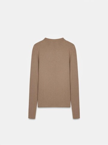 Dilvin Sweater 'Pullover' in Brown
