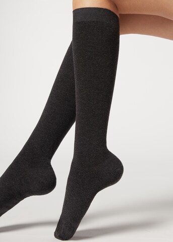 CALZEDONIA Knee High Socks in Grey: front