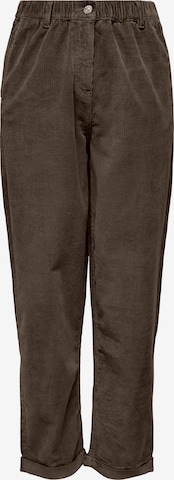 ONLY - regular Pantalón 'ONLFLORA' en marrón: frente