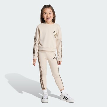 ADIDAS SPORTSWEAR Тренировочный костюм в Бежевый: спереди