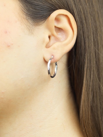 Vanlere Earrings in Silver