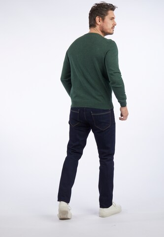 HECHTER PARIS Sweater in Green