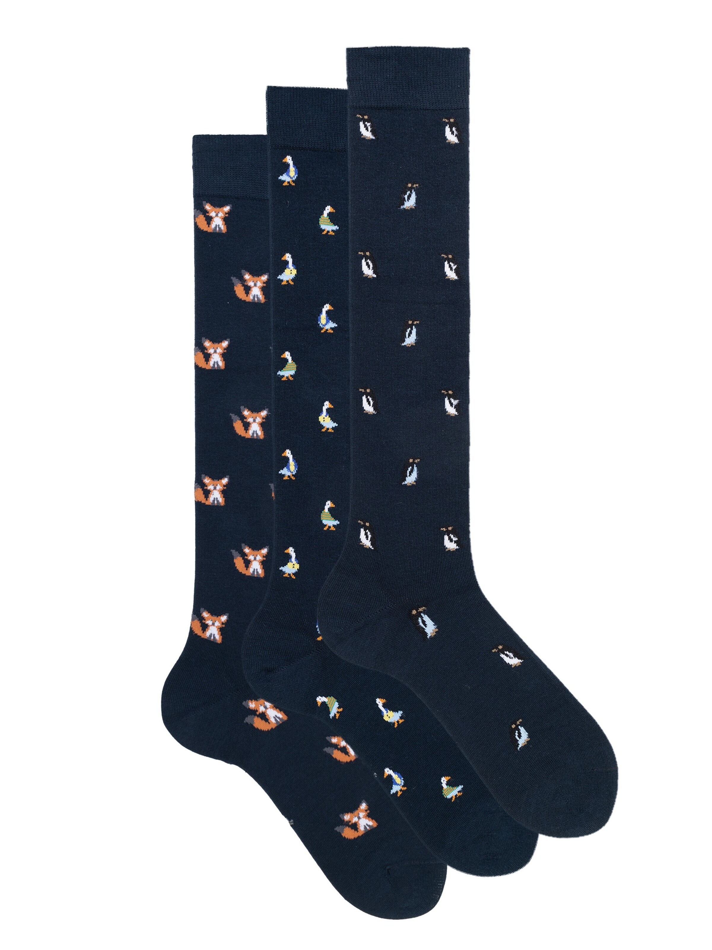 Gambaletto '3 Pack Calze Lunghe Fantasia - Confezione Regalo - Ciocca' di Ciocca in verde: frontale