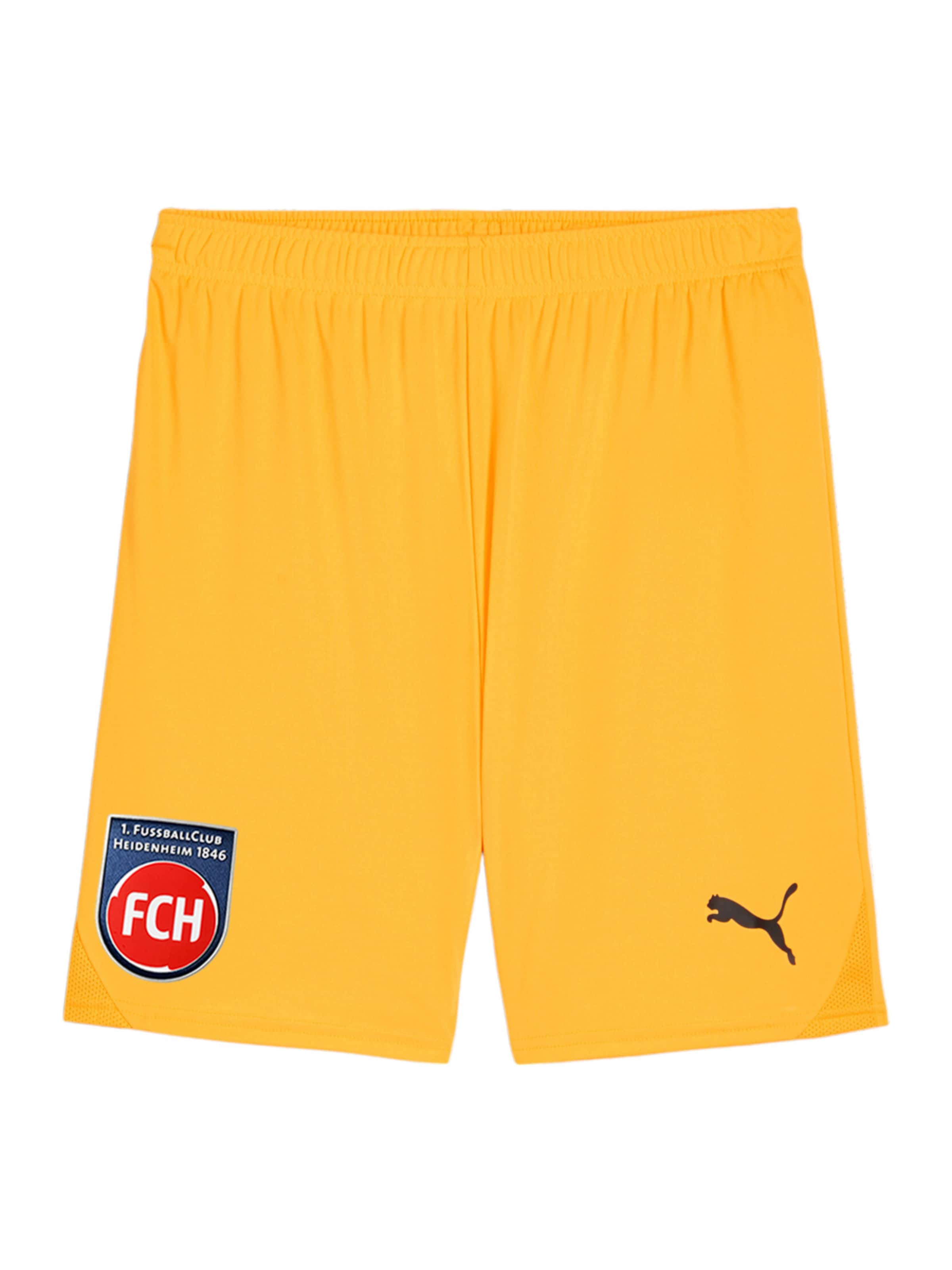 Regular Pantaloni sport de la PUMA pe portocaliu: față
