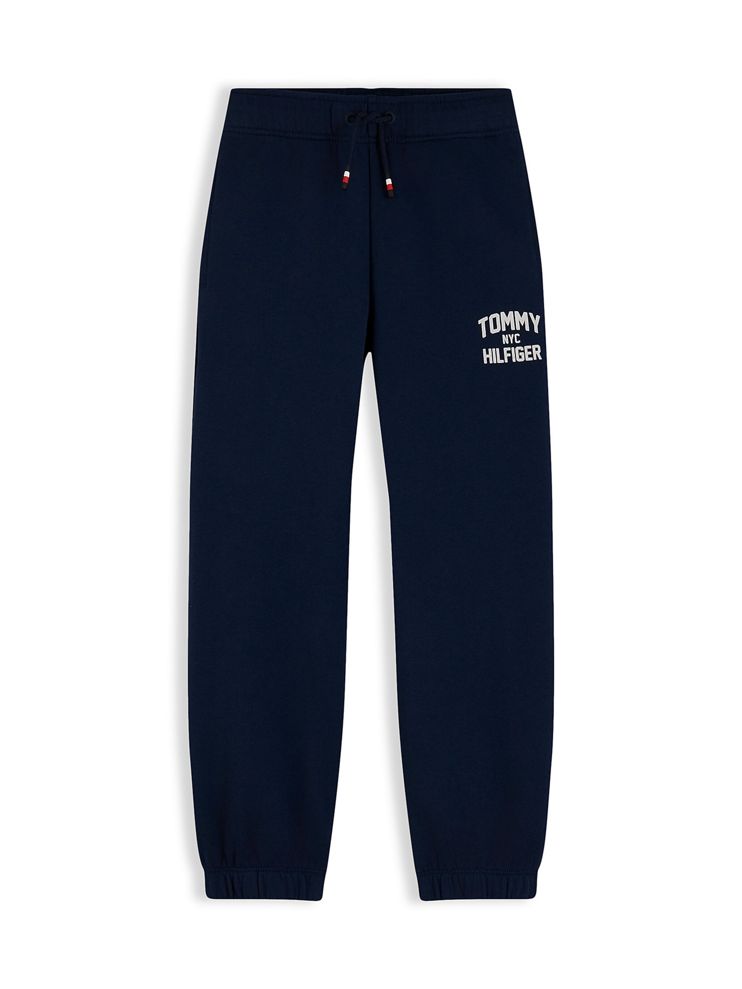 TOMMY HILFIGER Конический (Tapered) Штаны 'Brand Love' в Синий: спереди