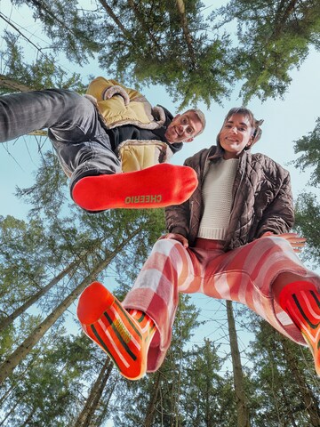 Chaussettes 'JINGLE SCHLINGLES' CHEERIO* en mélange de couleurs