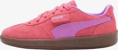 35,5 dydžio Sportbačiai 'Palermo' iš PUMA, spalva – orchidėjų spalva / avietinė, Prekių apžvalga