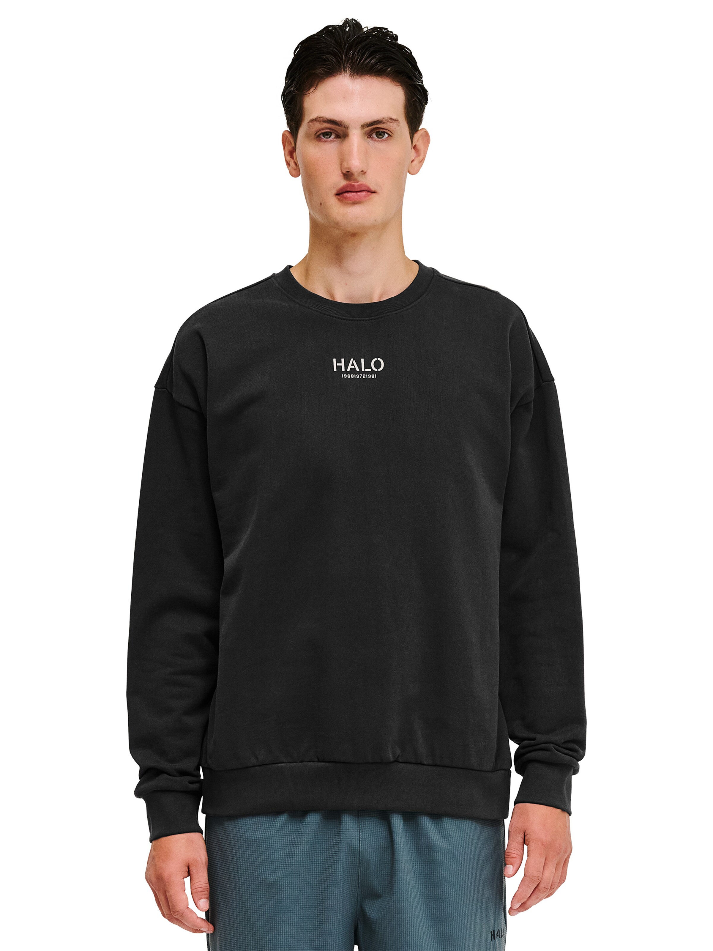 HALO Sweatshirt in Grau: Vorderseite