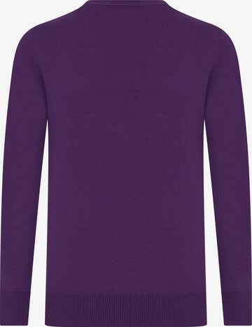 DENIM CULTURE - Pullover 'Simon' em roxo