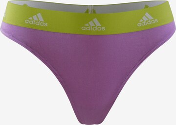 ADIDAS SPORTSWEAR Tanga ' Active Comfort Cotton ' in Beige