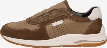 SIOUX Sneakers laag ' Turibio-709-J' in Bruin