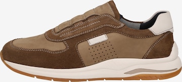 SIOUX Sneakers ' Turibio-709-J' in Brown