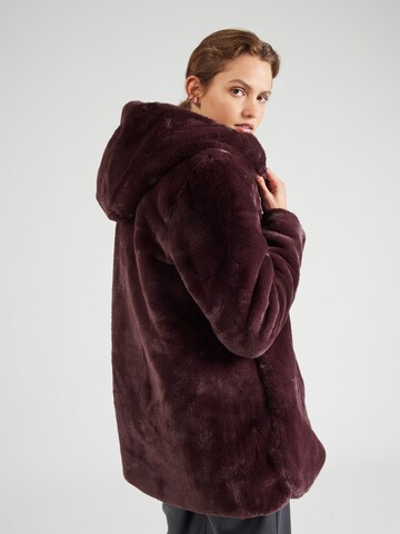 SAVE THE DUCK Winter Coat 'BRIDGET' in Red