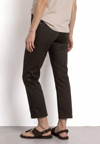 STREET ONE Regular Pants in Brown