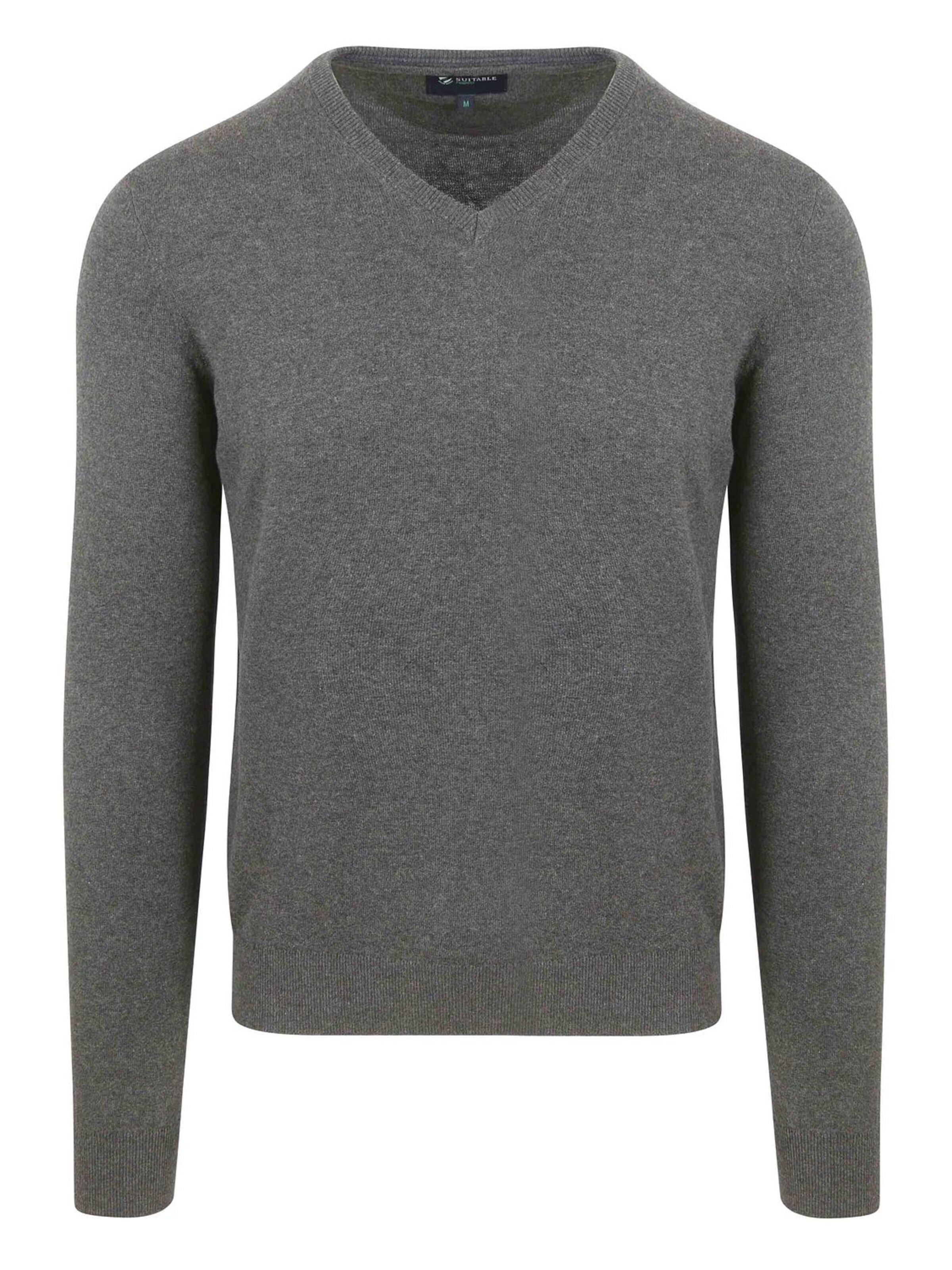 Suitable Shirt 'Vinir' in Grey: front