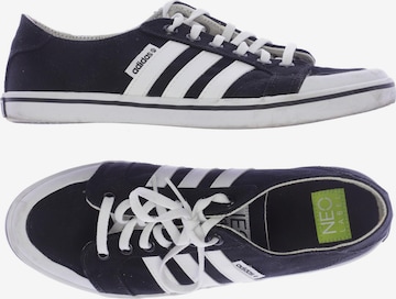 Adidas neo top sneaker schwarz