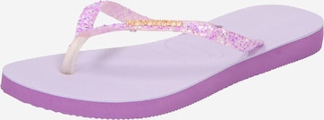 HAVAIANAS Teenslippers in Lila: voorkant