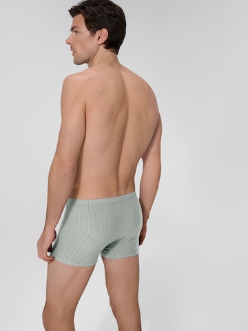 Boxers ' Urban Traveller ' Ammann en gris