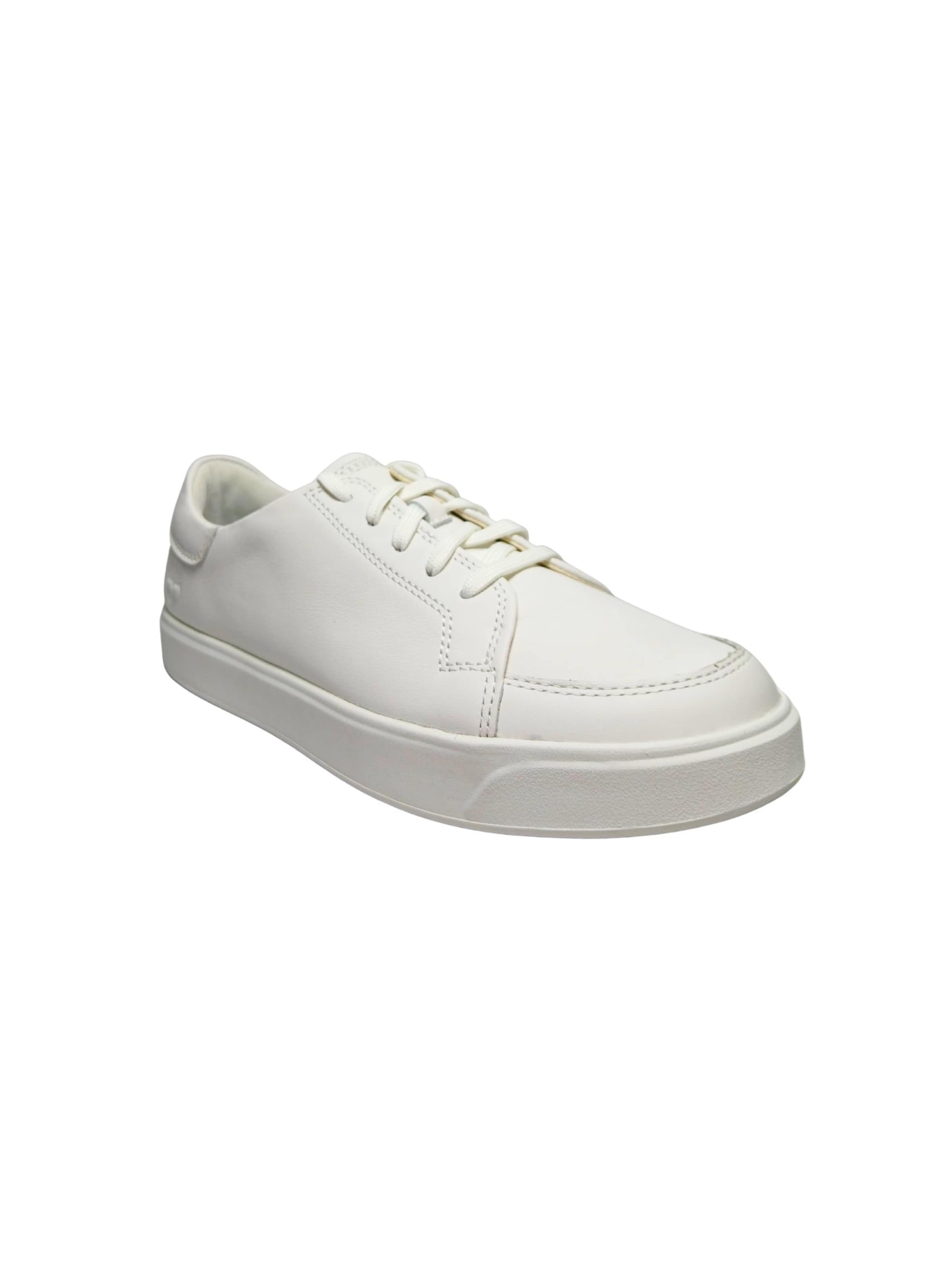 TIMBERLAND - Zapatillas deportivas bajas en blanco