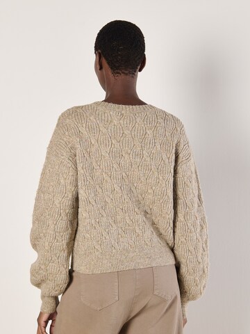 Apricot Sweater in Grey