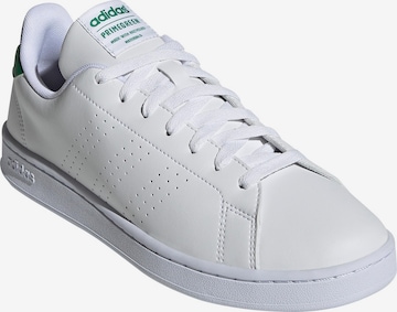 ADIDAS PERFORMANCE Athletic Shoes 'Advantage' in White