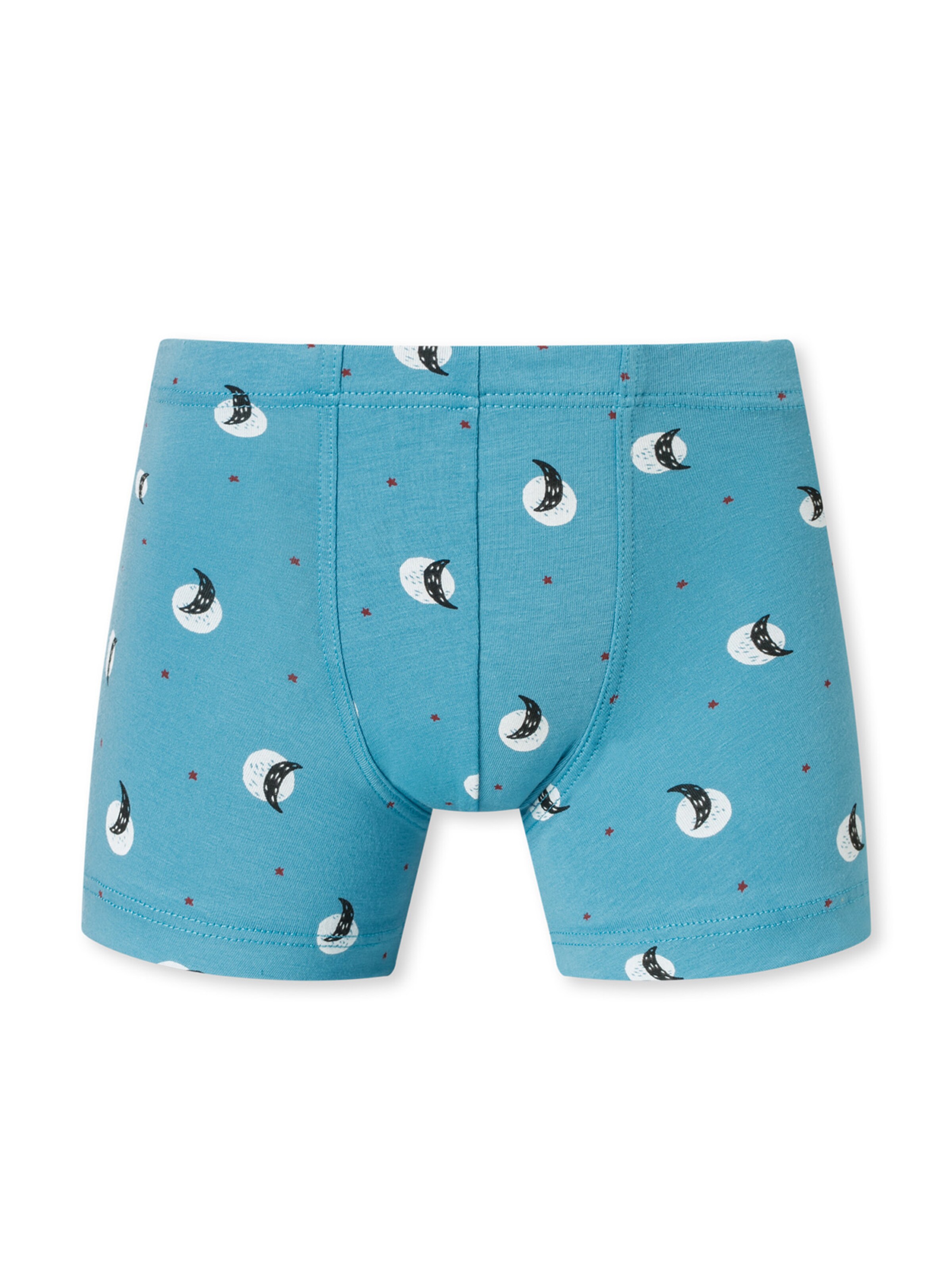 SCHIESSER Underpants '95/5 Organic Cotton' in Blue
