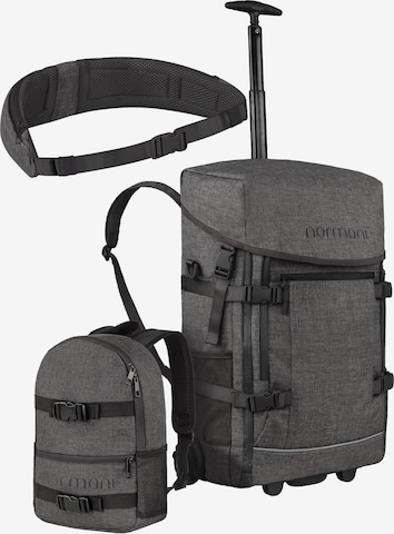 normani Trolley in Grau: Vorderseite