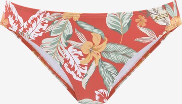 SUNSEEKER - Braga de bikini en naranja: frente