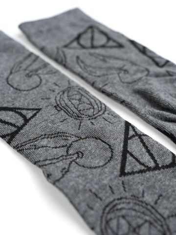 Harry Potter Socken 'Hogwarts'‌‌‌‌‌‌‌ in Mischfarben