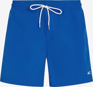 Pantaloncini da bagno 'Vert 16' di O'NEILL in blu: frontale