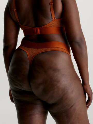 Calvin Klein Underwear Plus Thong in Brown