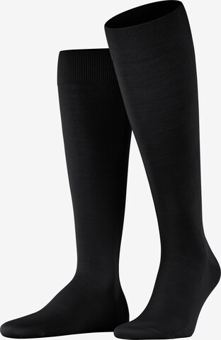 FALKE Knee High Socks 'ClimaWool' in Black: front