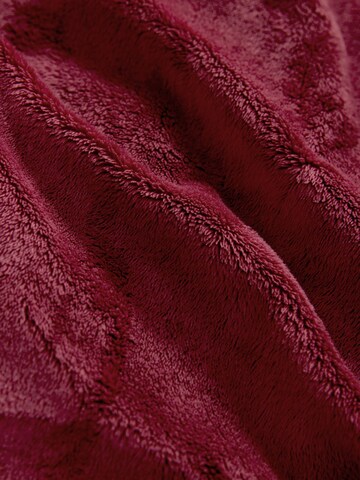 Next Coat in Red