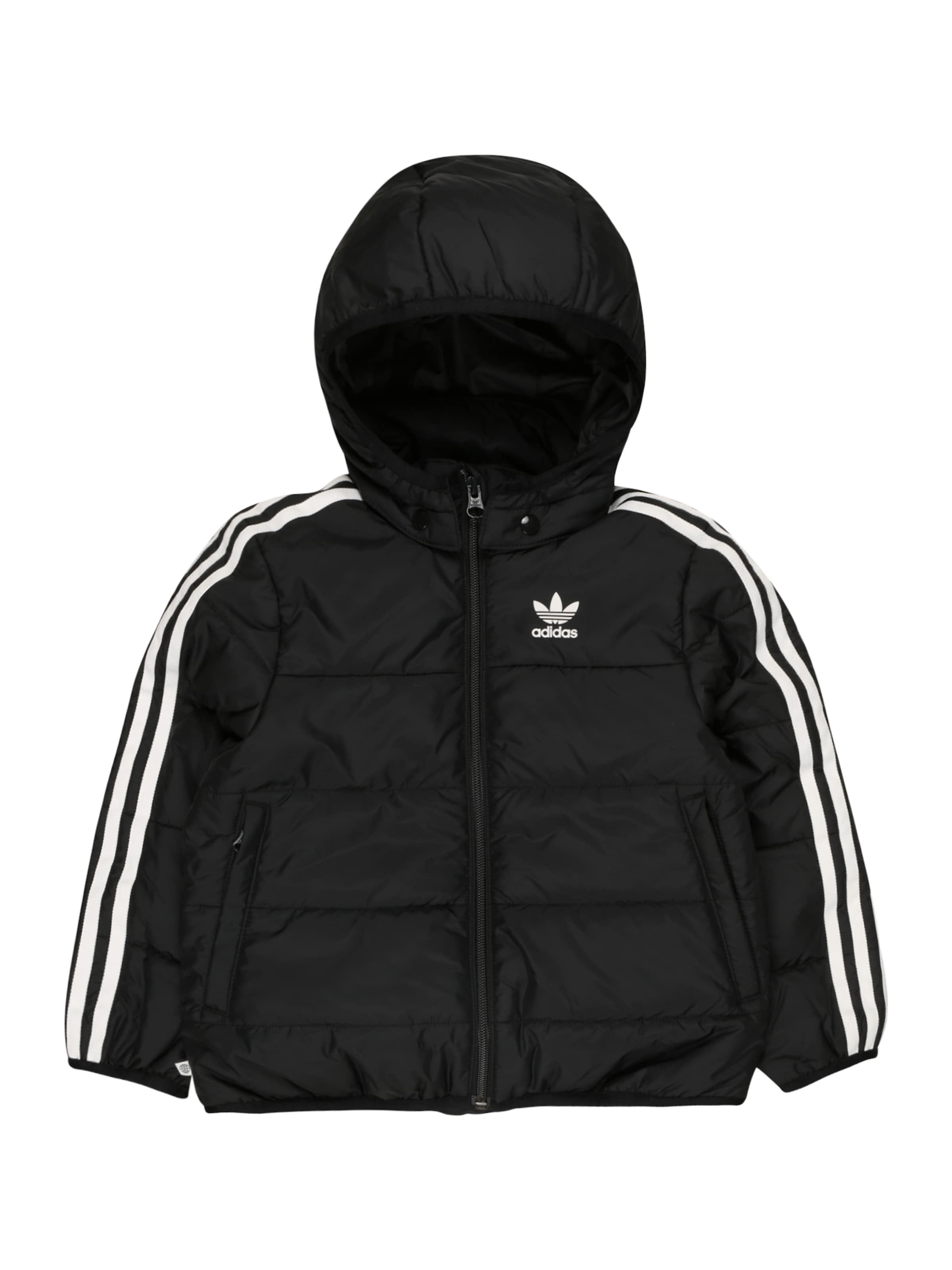 ADIDAS ORIGINALS Winterjas in Zwart | ABOUT YOU