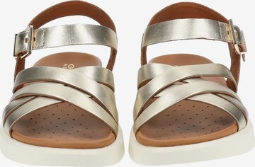 GEOX Sandalen met riem in Goud