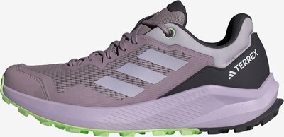 ADIDAS TERREX Skriešanas apavi 'Trail Rider', krāsa - purpura / melns / balts, Preces skats