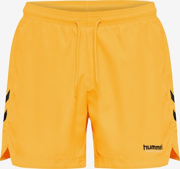 Shorts de bain 'NED' Hummel en orange : devant