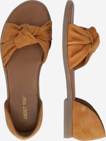 ABOUT YOU Sandals 'Denise' in Brown