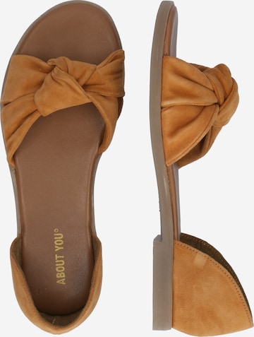 ABOUT YOU Sandal 'Denise' in Brown