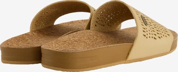 REEF Beach & Pool Shoes in Beige