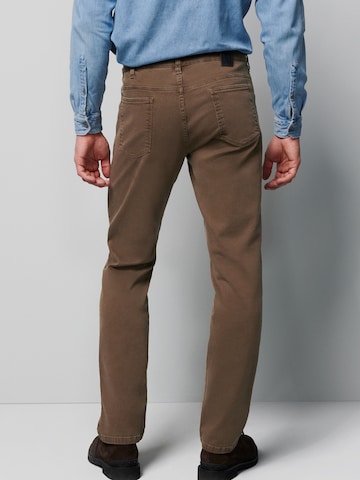 MEYER Regular Jeans in Brown