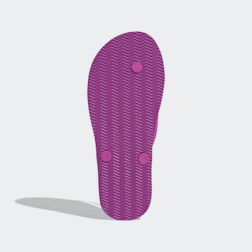 ADIDAS SPORTSWEAR Босоножки через палец в Ярко-розовый