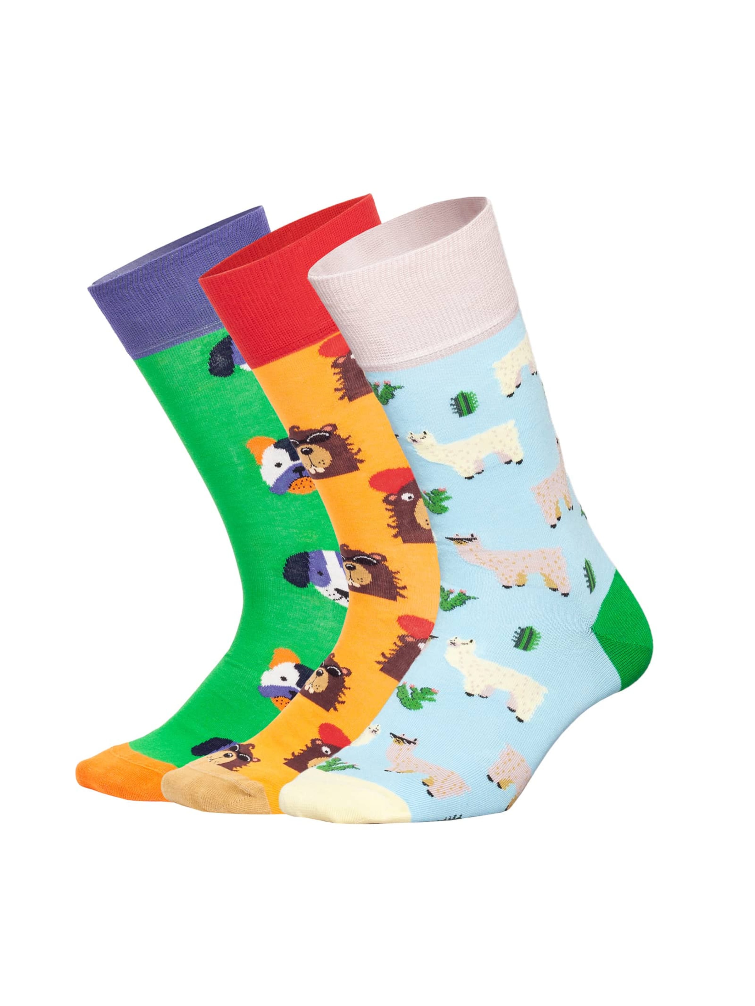DillySocks Socken 'Geschenkbox - Paws & Friends (3er Box)' in Mischfarben: Vorderseite