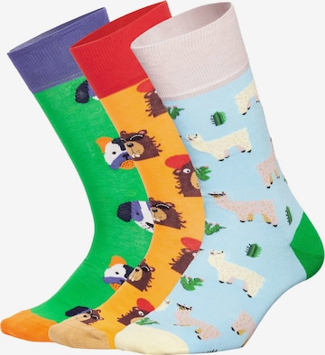 DillySocks Socken 'Geschenkbox - Paws & Friends (3er Box)' in Mischfarben: Vorderseite