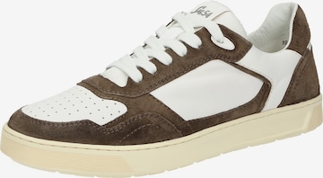 SIOUX Sneakers laag 'Tedroso-704' in Bruin: voorkant