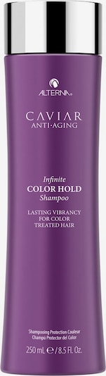 Alterna Haarshampoo in transparent, Produktansicht