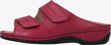 BERKEMANN Pantolette 'Daria' in Rot: Vorderseite
