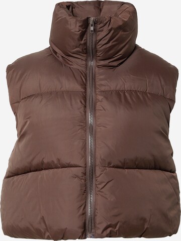 Misspap Bodywarmer in Bruin: voorkant