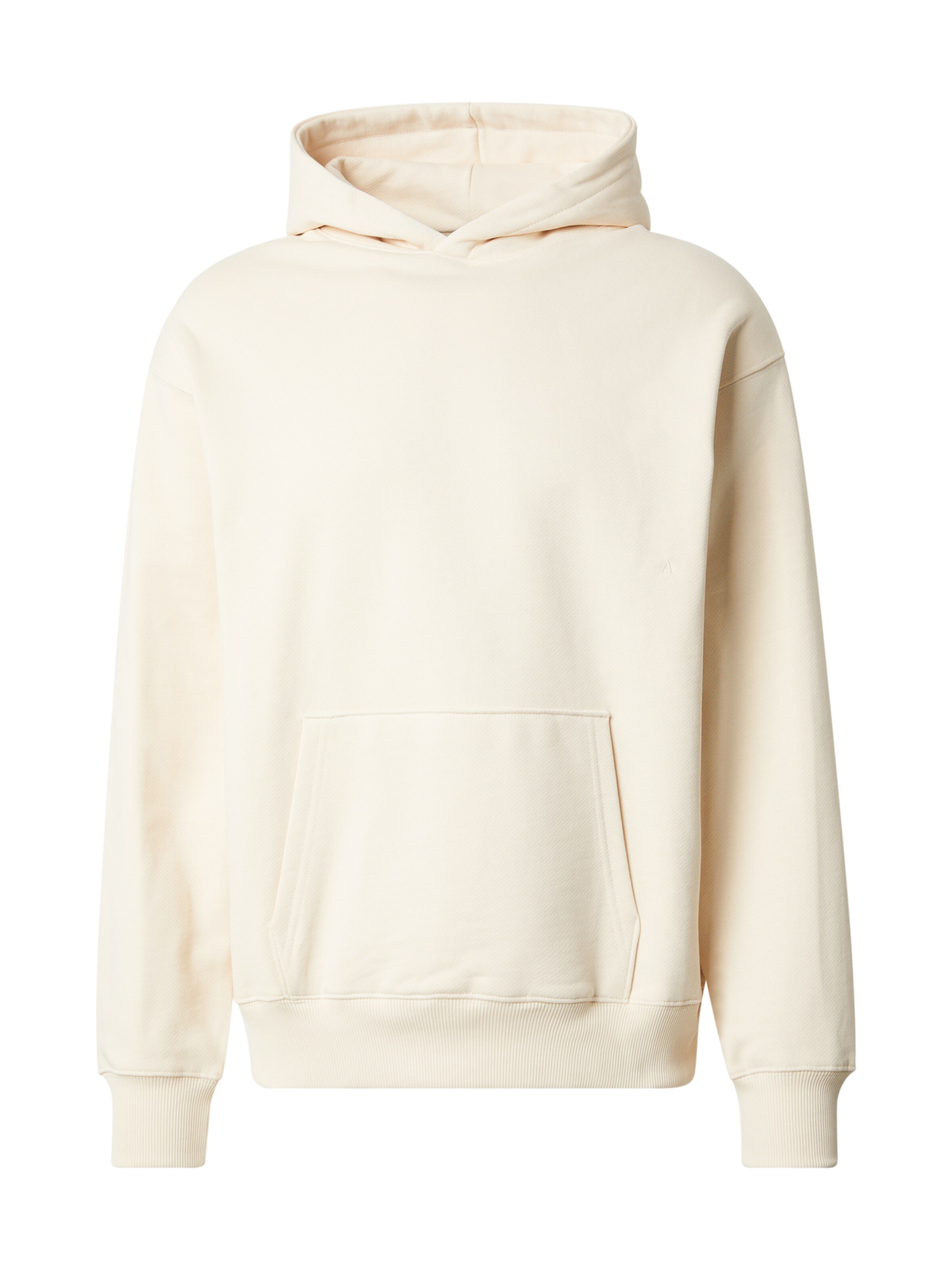 bēšs ANNARR Sportisks džemperis 'ANRARTICE': no priekšpuses