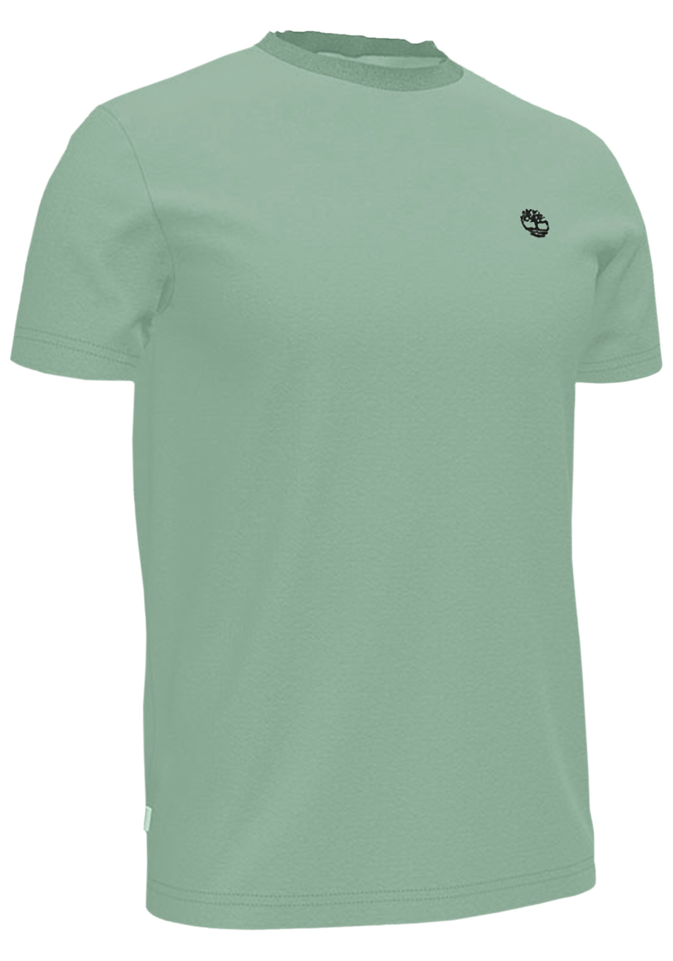 TIMBERLAND Shirt in Green